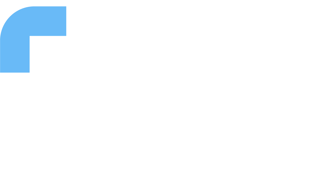 Flye Software